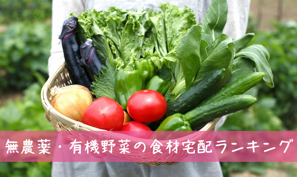 無農薬・有機野菜の食材宅配サービス